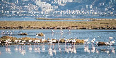 İEKKK'de yeni dönem Flamingo Yolu gezisi ile başladı